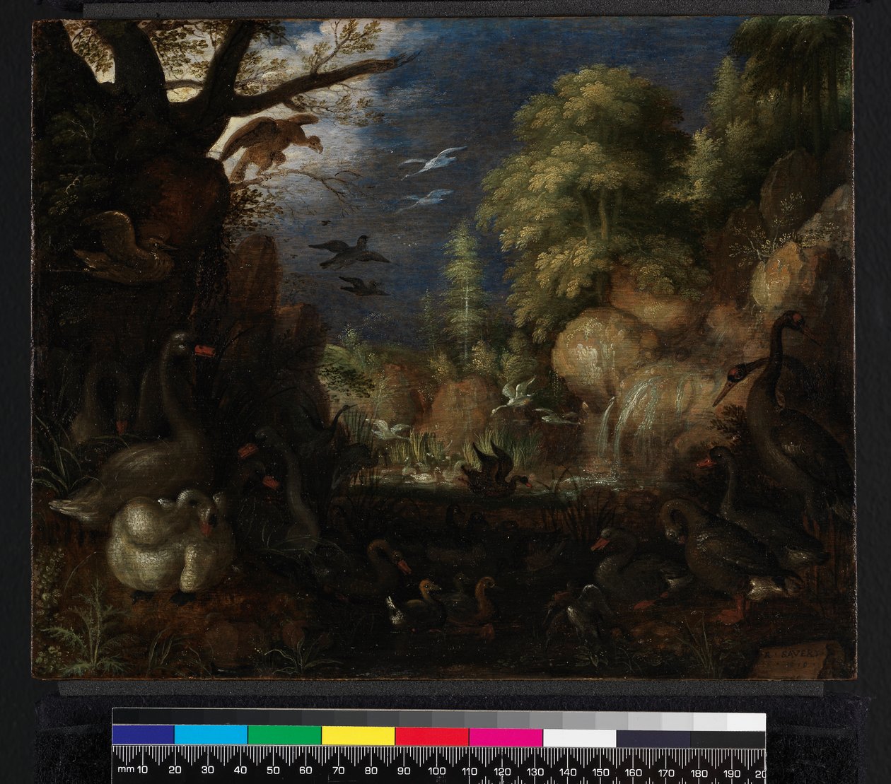 خلق الطيور ، 1619 بواسطة Roelandt Jacobsz. حفظ