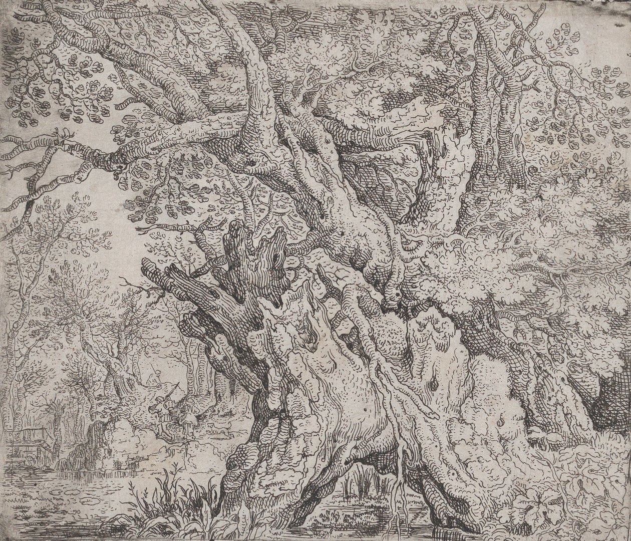 شجرة Gnarled ، كاليفورنيا. 1608-09. بواسطة Roelandt Savery