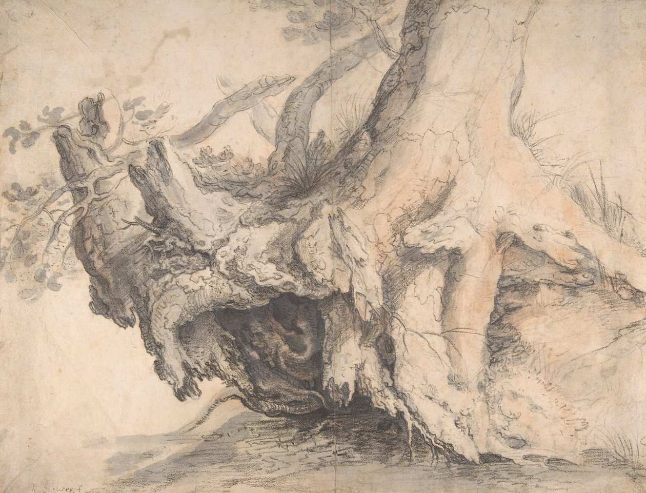 دراسة شجرة ، كاليفورنيا. 1606-7. بواسطة Roelandt Savery