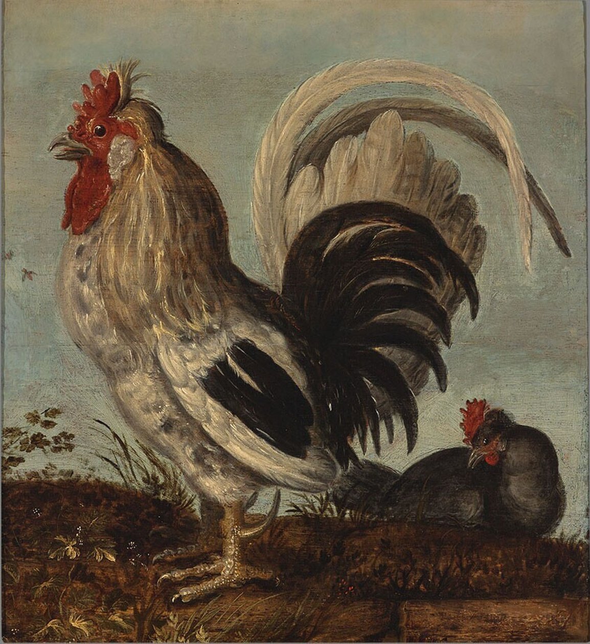 الديك بواسطة Roelandt Jacobsz. حفظ