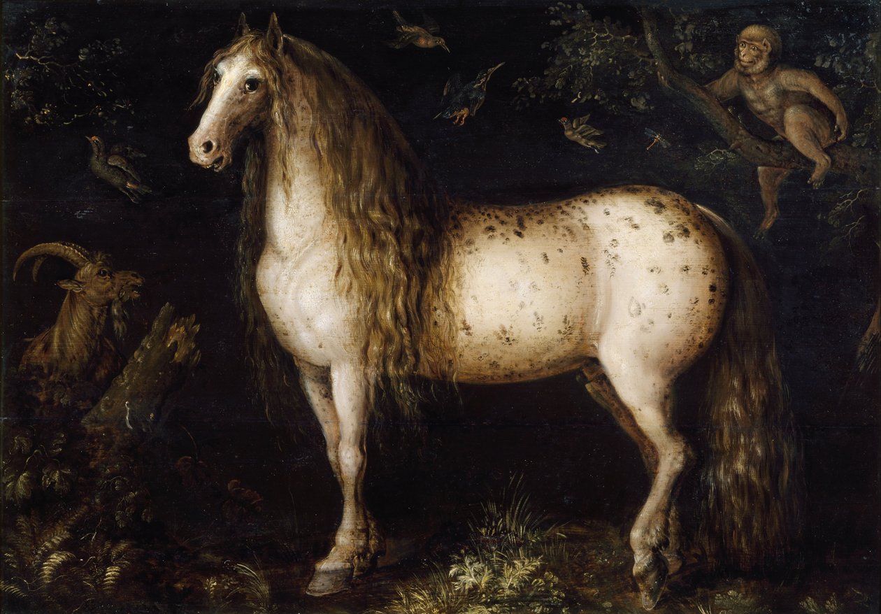 الرمادي الداكن ، ج. 1625-1630 بواسطة حفظ Roelant