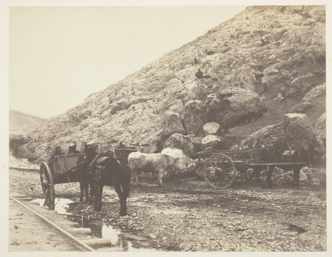 مواشي وعربات مغادرة بالاكلافا 1855. بواسطة روجر فينتون