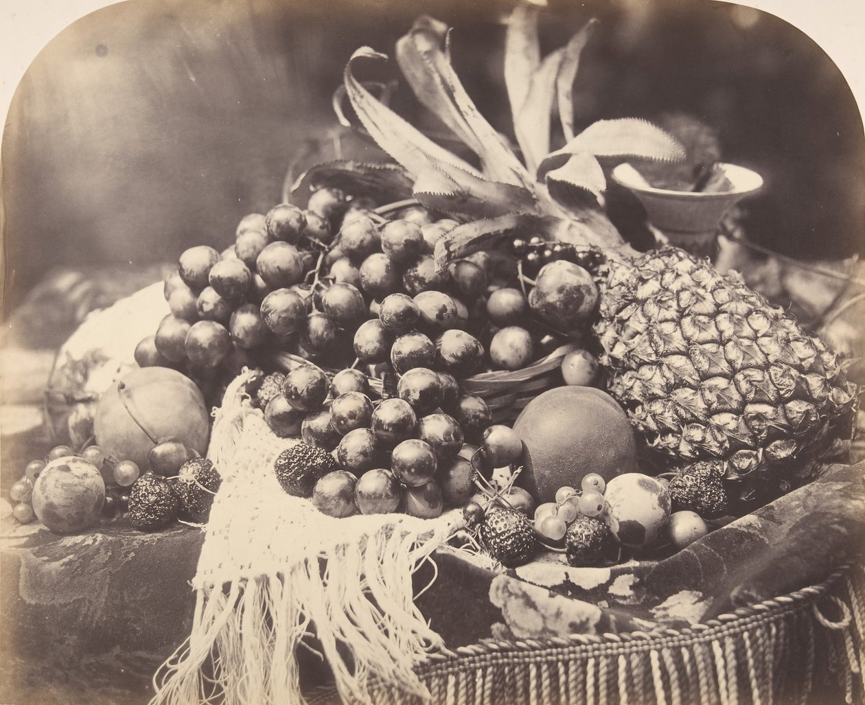 لا تزال الحياة مع الفاكهة ، 1860. بواسطة روجر فينتون