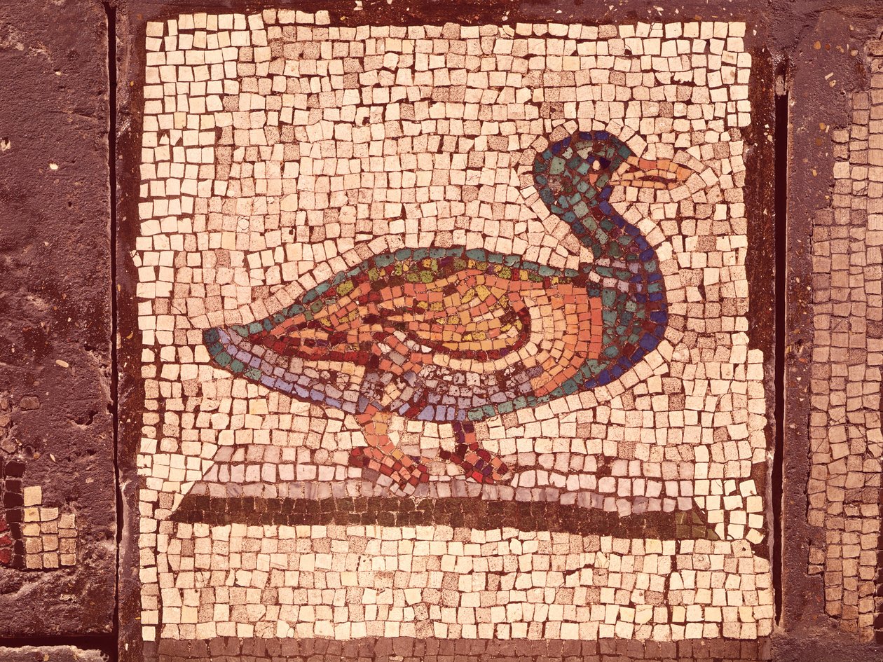بطة ، تفاصيل من Orpheus Charming the Animals (فسيفساء) بواسطة رواية