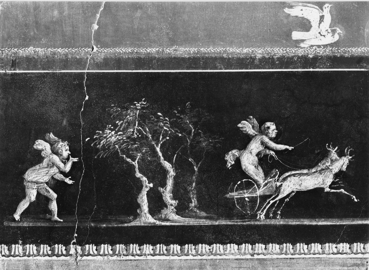 الكروب في سباق المركبات ، إفريز من Oecus of the Casa dei Vettii (House of the Vettii) c.50-79 م (انظر أيضًا 215431) بواسطة رواية
