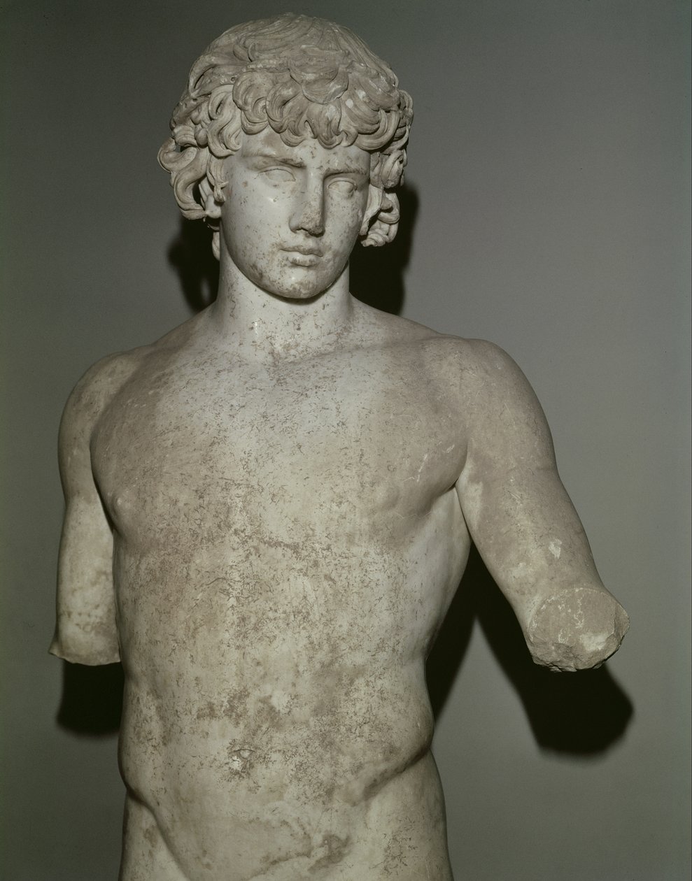 صورة Antinous ، بعد 130 ميلادي (رخام) (التفاصيل) (انظر أيضًا 65413) بواسطة رواية