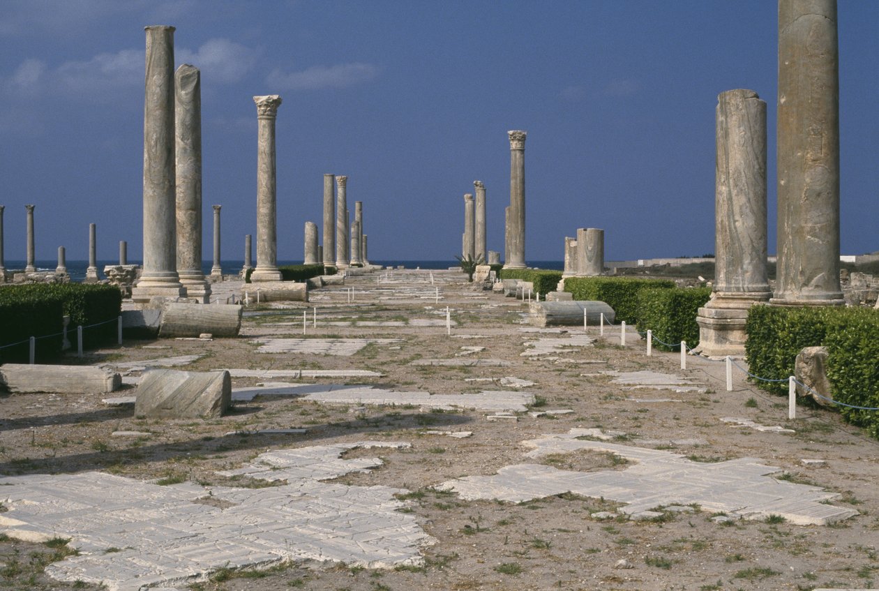شارع استعماري رئيسي بواسطة رواية