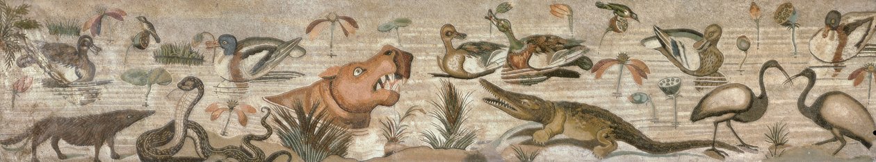 مشهد النيل ، من Casa del Fauno (House of the Faun) Pompeii (فسيفساء) بواسطة رواية