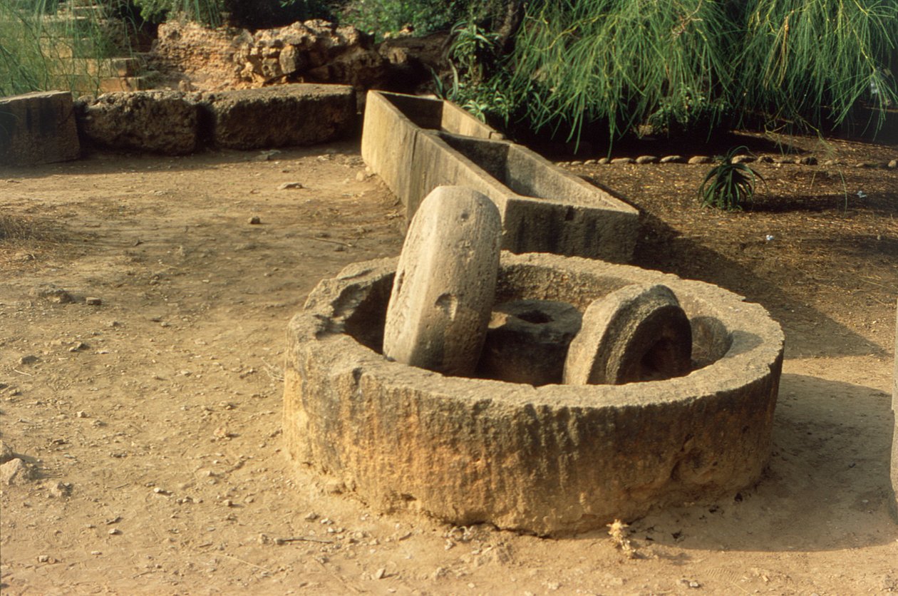 معصرة الزيت بواسطة رواية