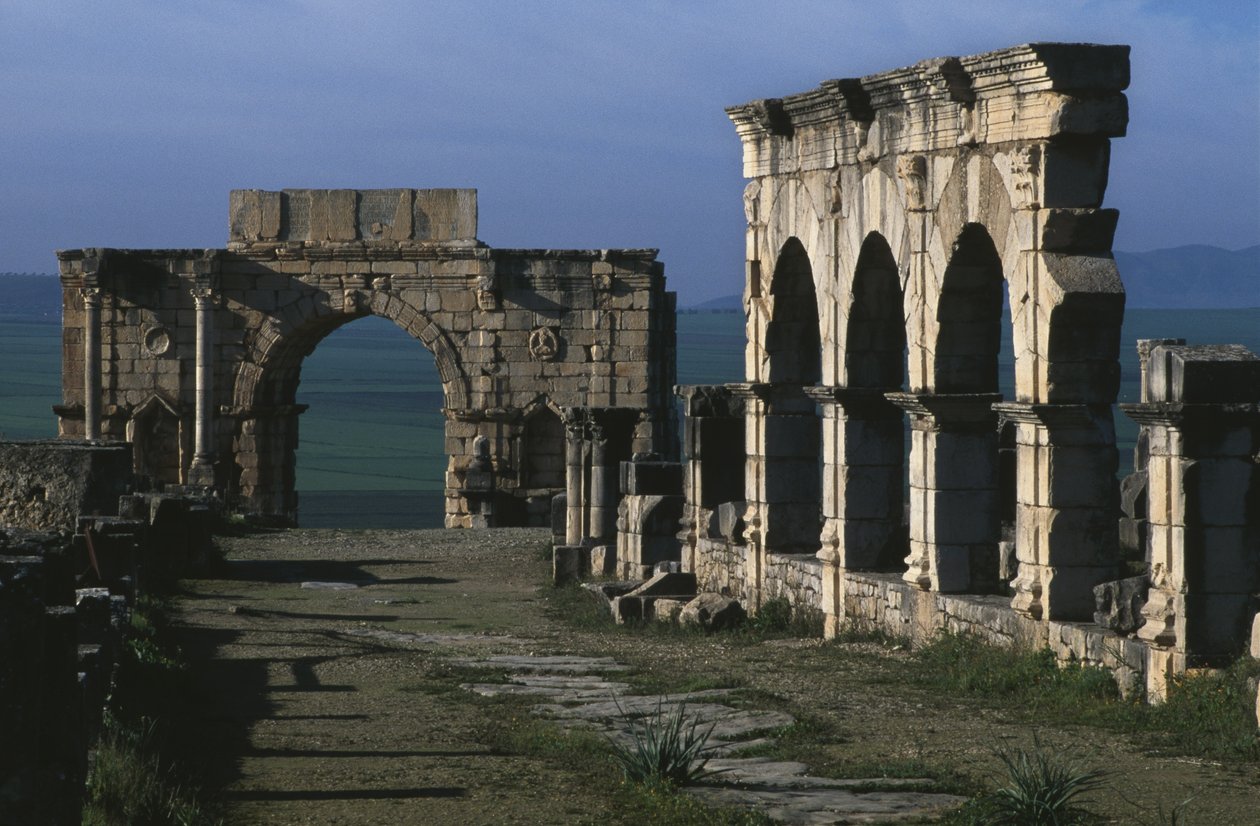 الرواق على Decumanus Maximus وقوس النصر في كركلا بواسطة رواية