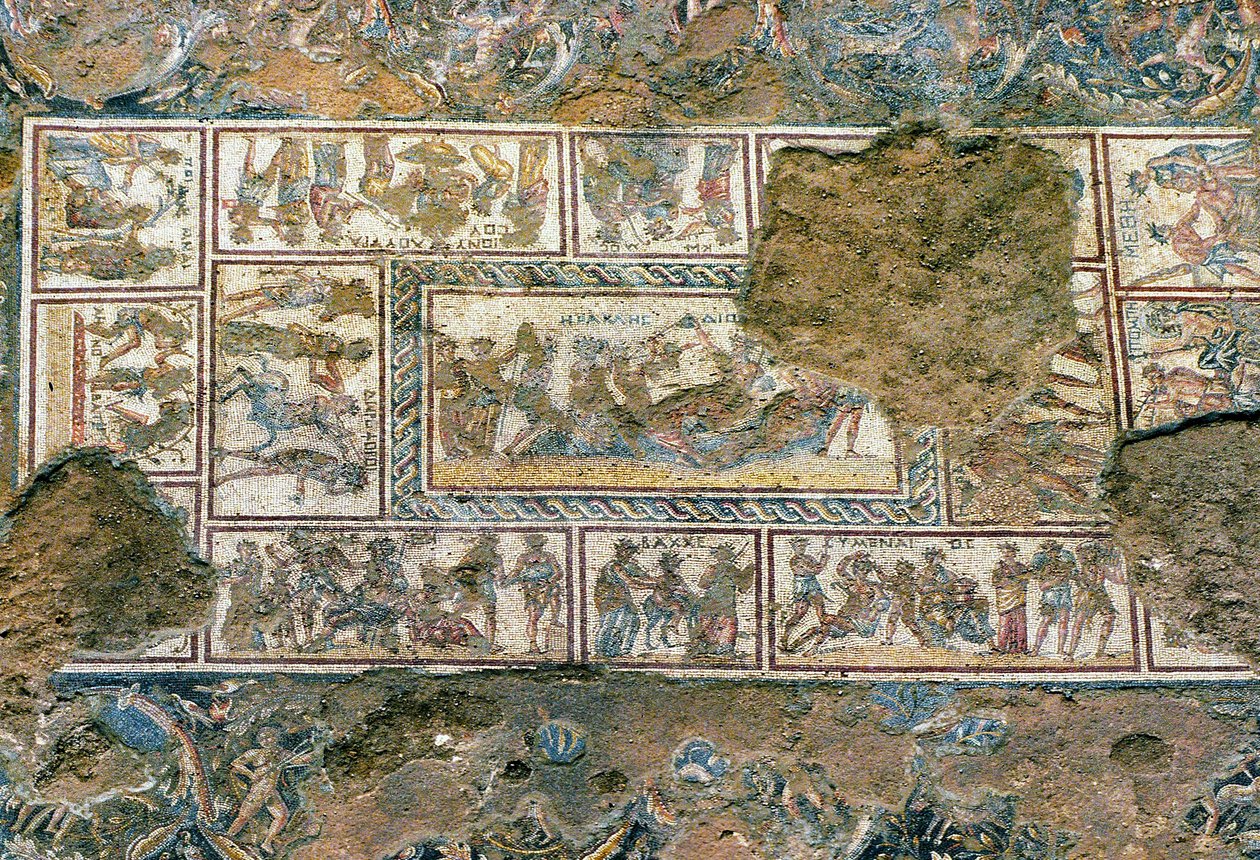فسيفساء Sepphoris ، تسيبوري بواسطة رواية