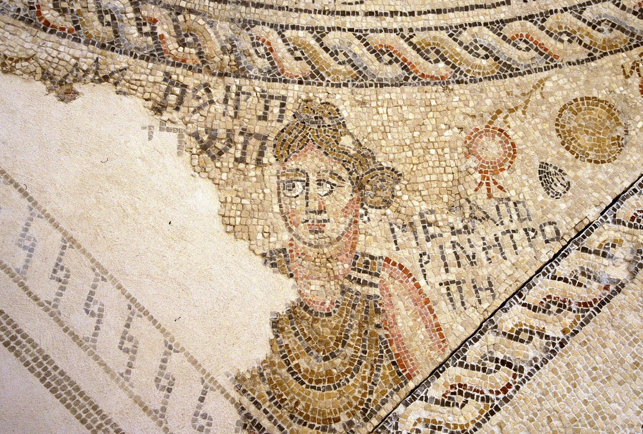 فسيفساء Sepphoris ، Tzippori (فسيفساء) بواسطة رواية