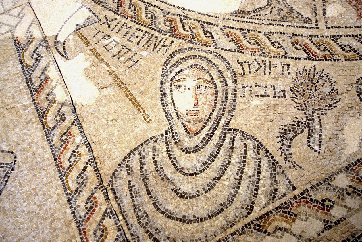 فسيفساء Sepphoris ، Tzippori (فسيفساء) بواسطة رواية