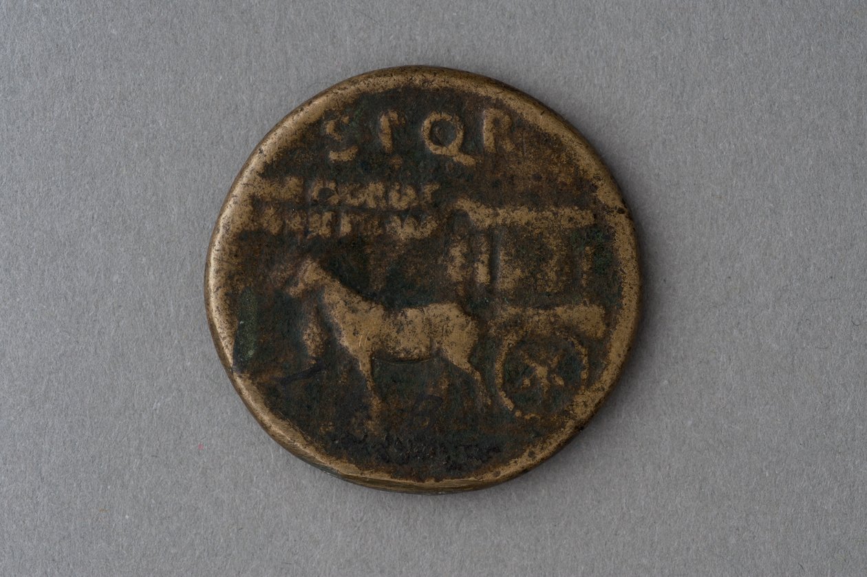 Sestertius of Agrippina Major (bronze) بواسطة رواية