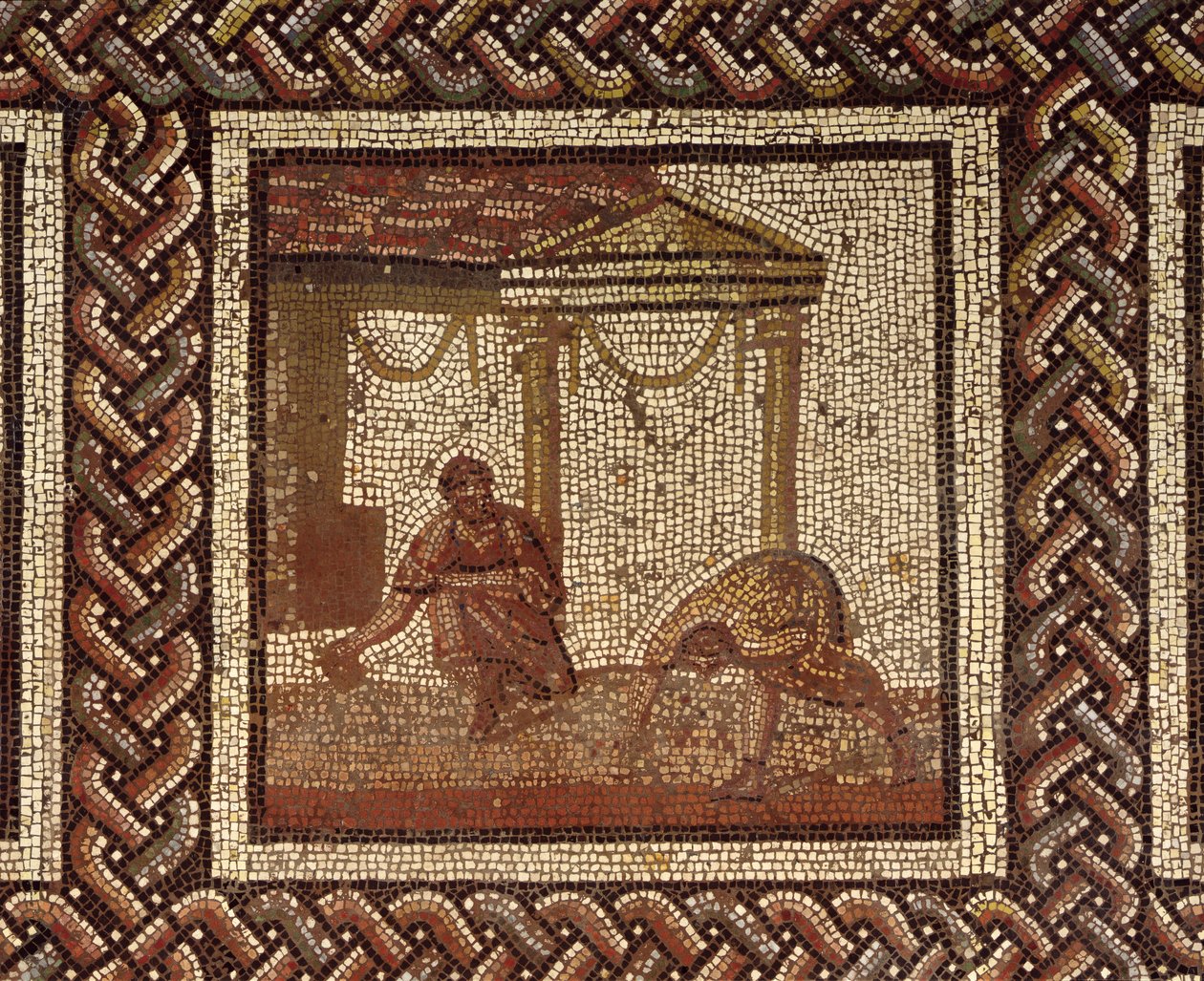 حبوب البن ، من Saint-Roman-en-Gal (فسيفساء) بواسطة رواية