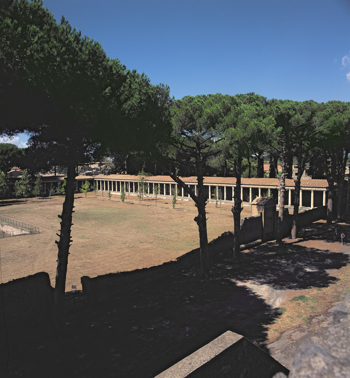 Palaestra العظمى بواسطة رواية