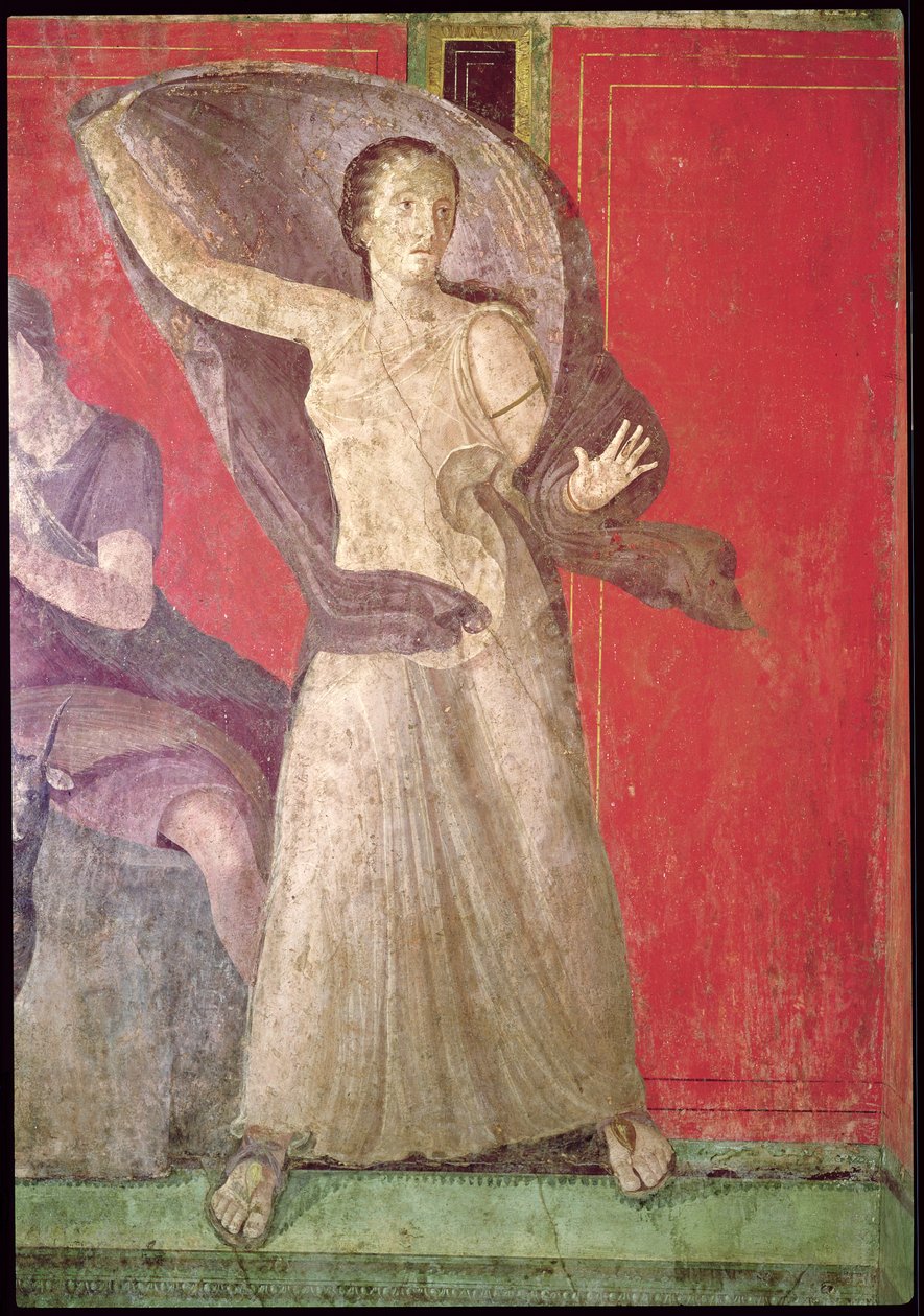 المرأة المفاجئة ، الجدار الشمالي ، Oecus 5 ، 60-50 قبل الميلاد (انظر أيضًا 55069) بواسطة رواية