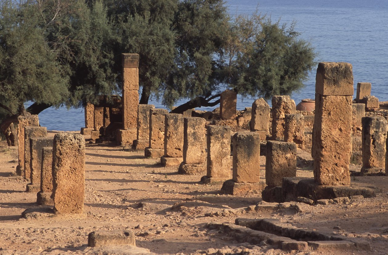 عرض الكاردو بواسطة رواية