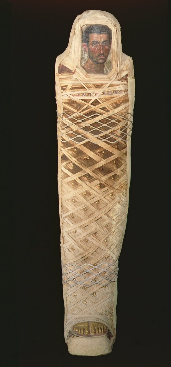 مومياء وصورة لرجل ، تم التنقيب عنها في حوارة ، الفترة الرومانية 30 ق.م - 395 م ، مصري ، c.80-110 م (غير مصقول على الخشب) بواسطة رومان رومان