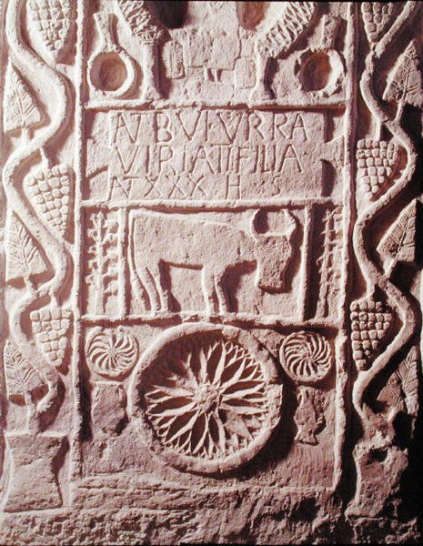 لوحة بوتورا ، ابنة فيرياثوس (180-139 قبل الميلاد) رئيس الإسبان اللوسطيين بواسطة رومان رومان