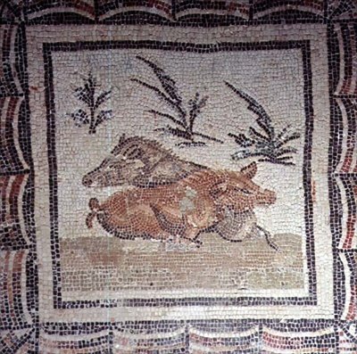 خنزير بري (فسيفساء) بواسطة رومان رومان