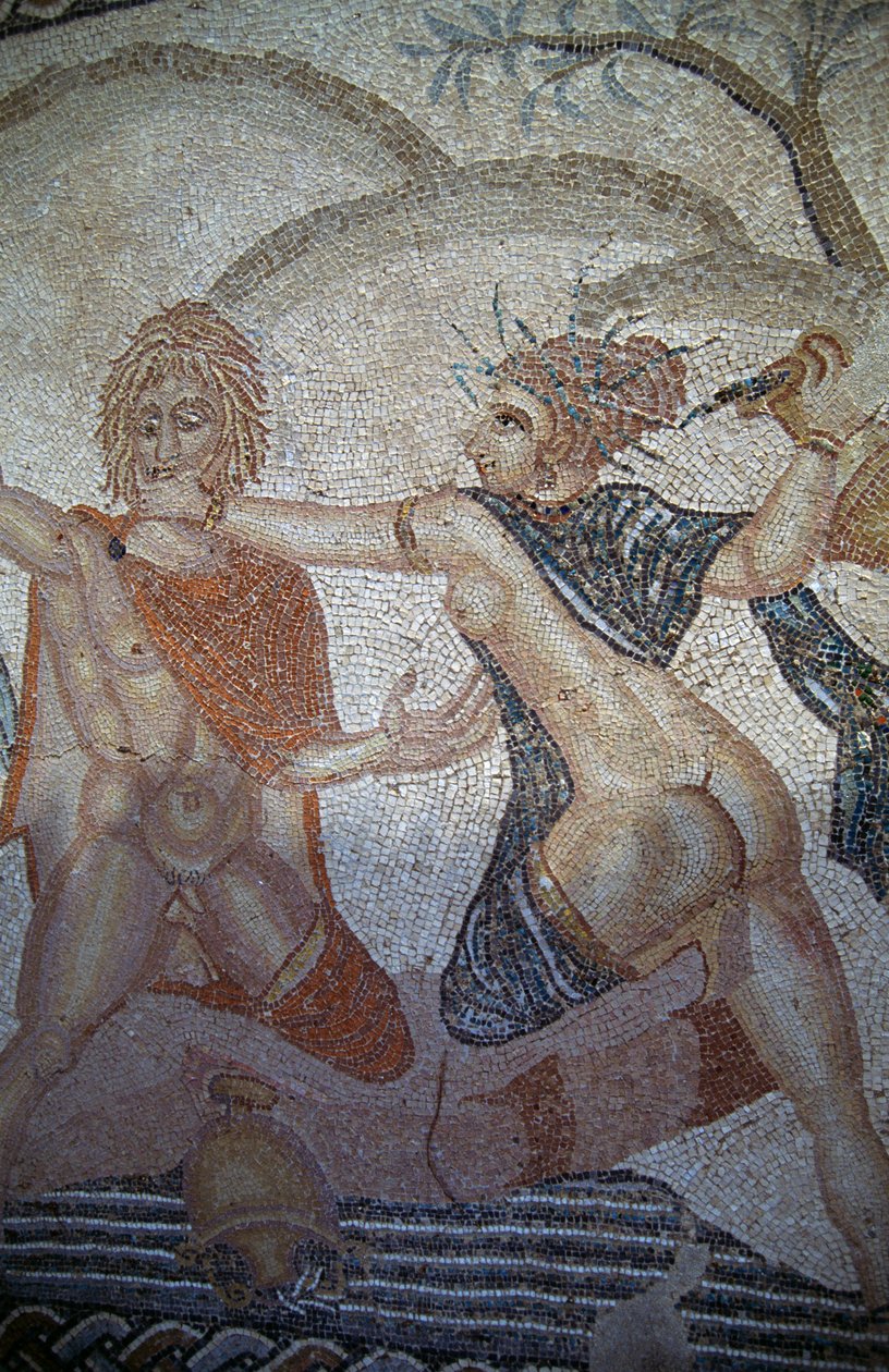 Abduction of Hylas by Nymphs, mosaic in House of Venus in Roman city of Volubilis (UNESCO World Heritage List بواسطة رواية