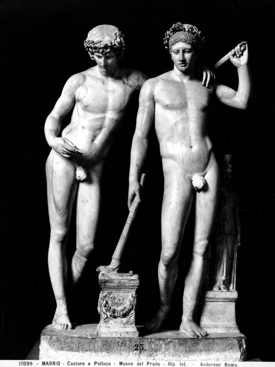 Castor and Pollux أو Orestes and Pylades ، مجموعة من San Ildefonso (الرخام) (صورة بالأبيض والأسود) بواسطة رواية