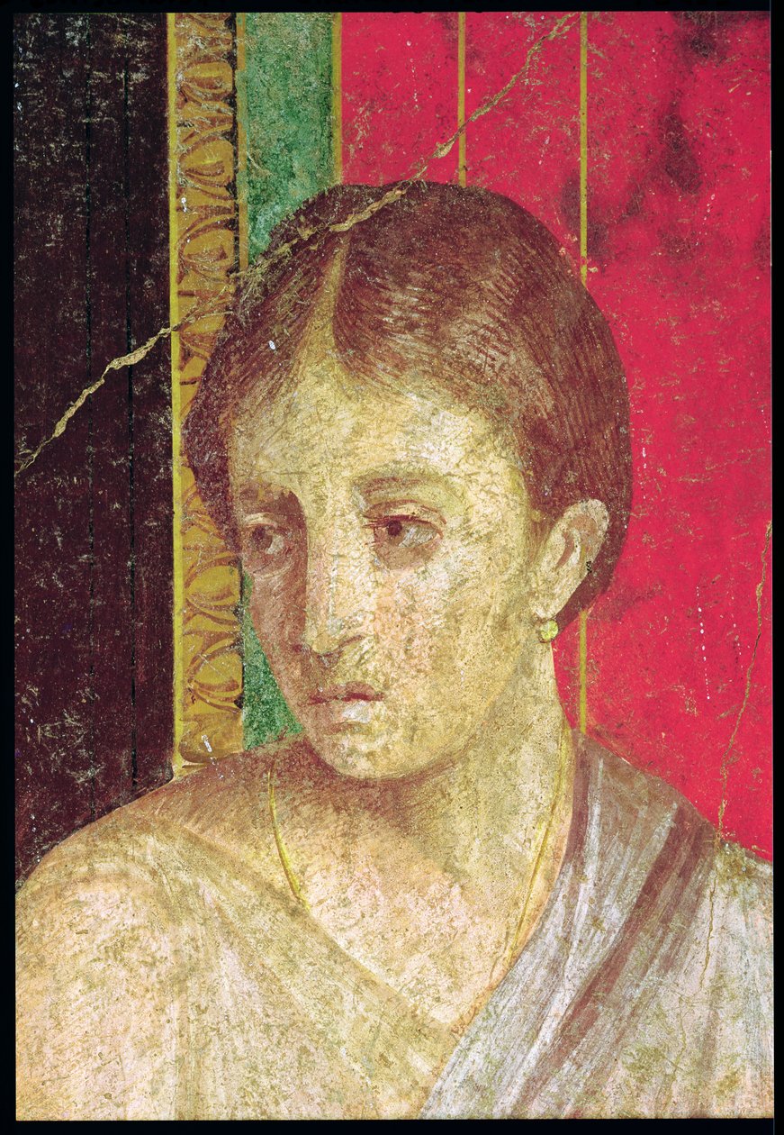 تفاصيل رأس الأم الجالسة ، من مشهد التعليم المسيحي ، الجدار الشمالي ، Oecus 5 ، 60-50 قبل الميلاد فريسكو انظر أيضًا 20015 بواسطة رواية