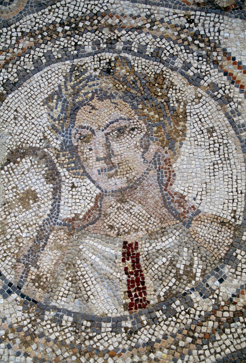 Female face, mosaic in Roman city of Volubilis (UNESCO World Heritage List بواسطة رواية