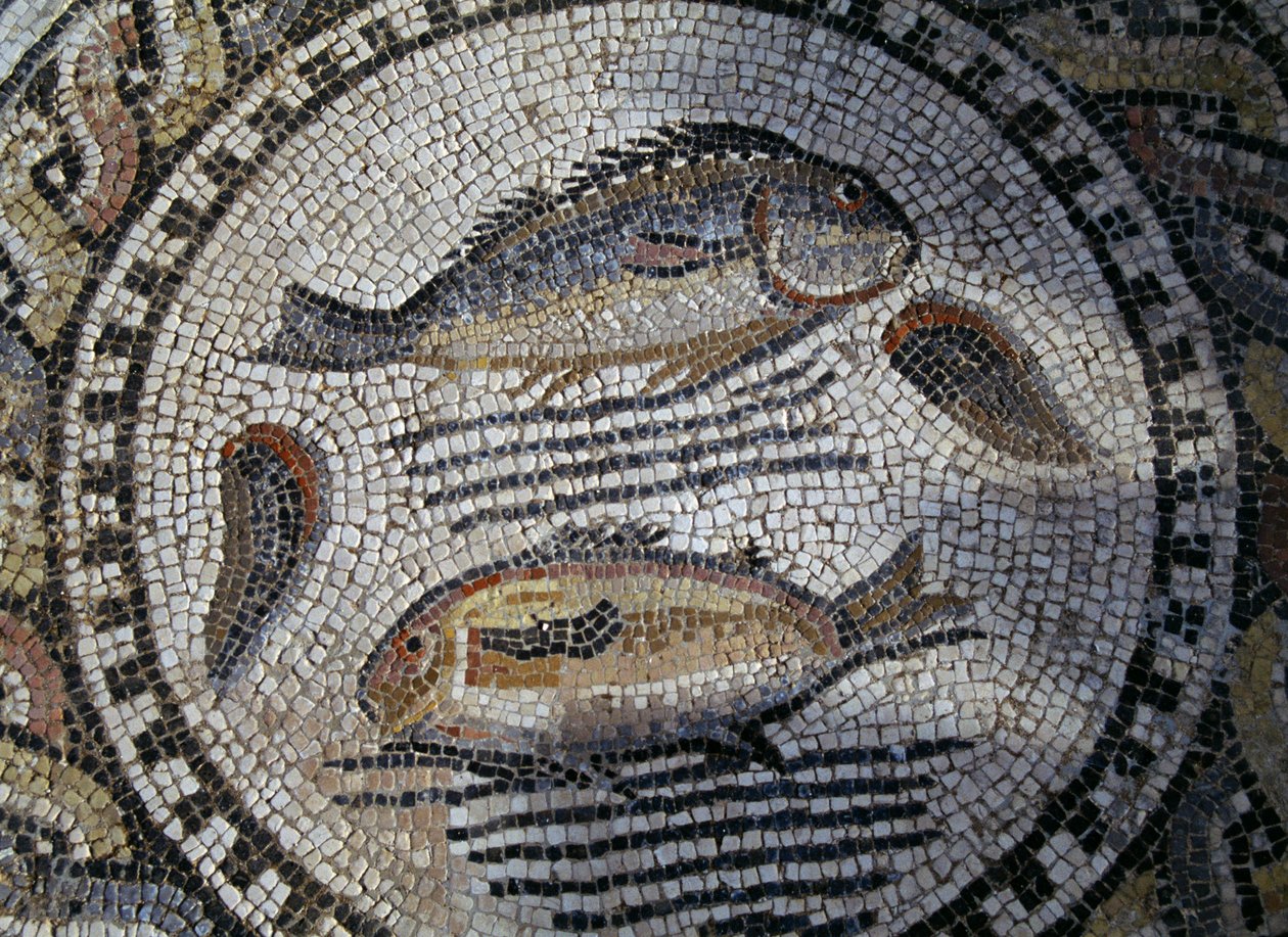 Fish, mosaic in Roman city of Volubilis (UNESCO World Heritage List بواسطة رواية