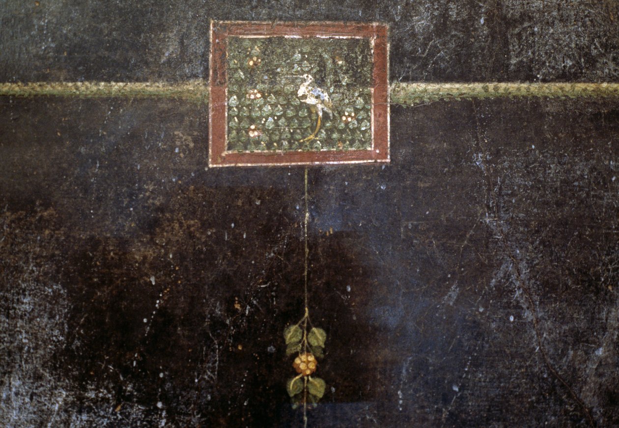 Frescoes from the Villa Dei Mysteri بواسطة رواية