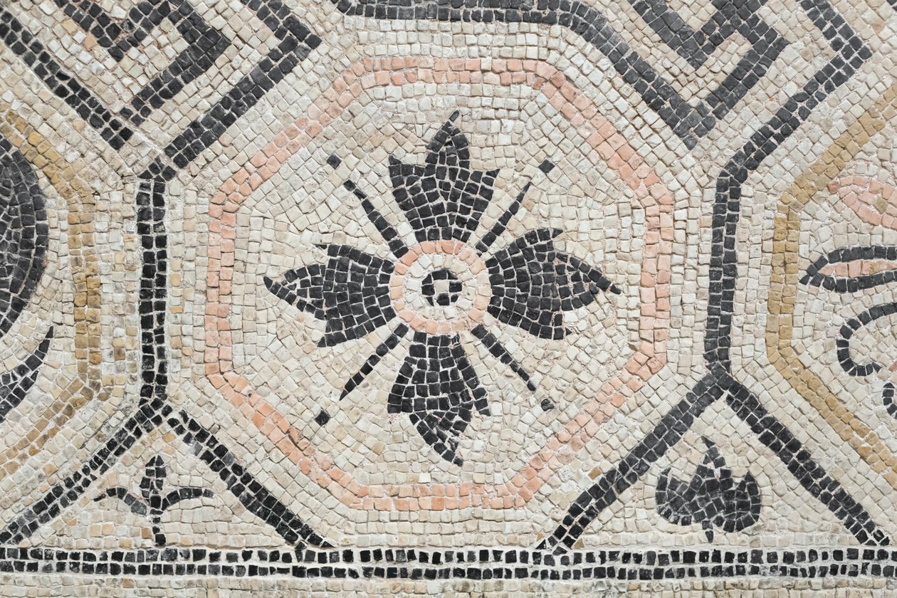  بواسطة رواية