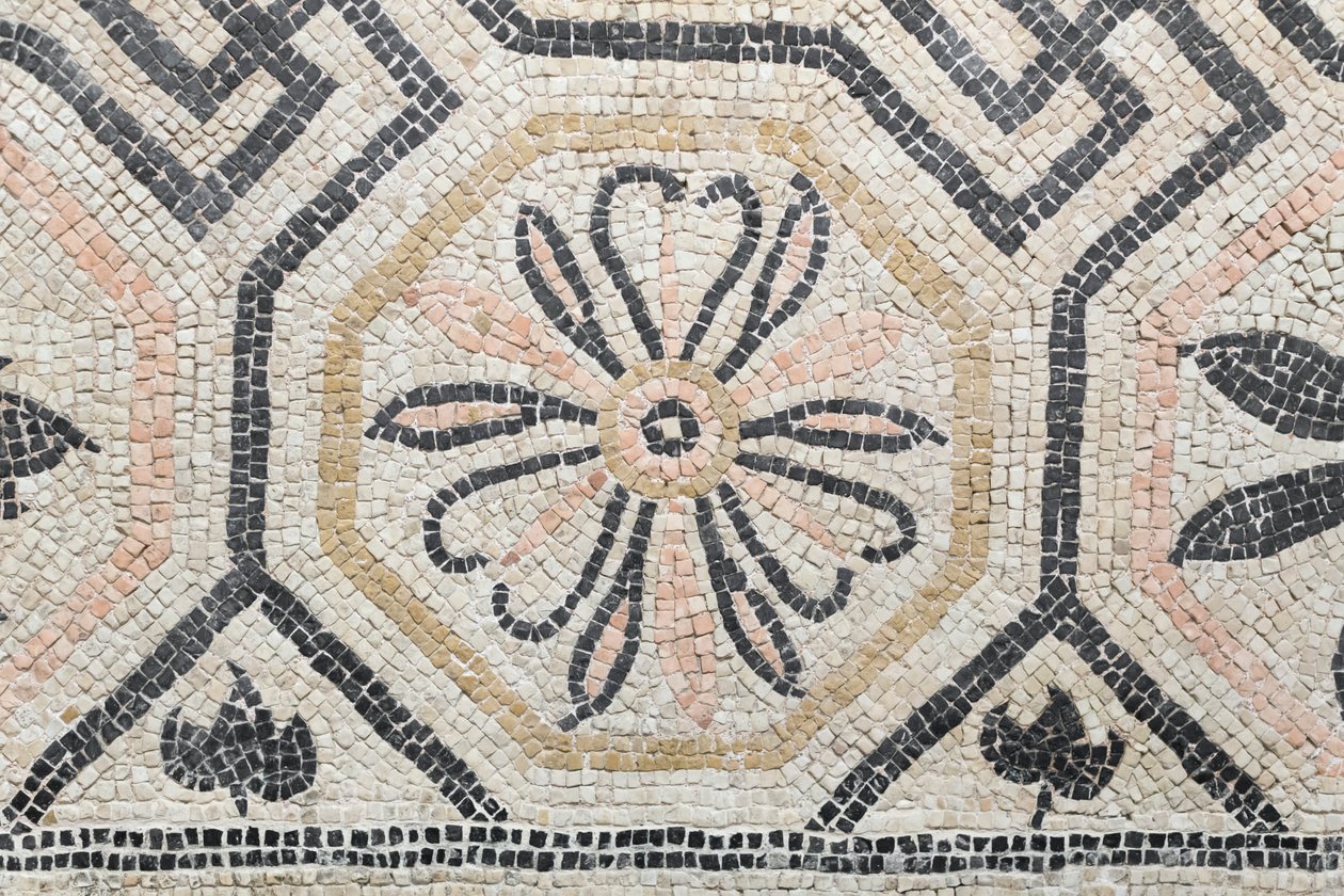  بواسطة رواية