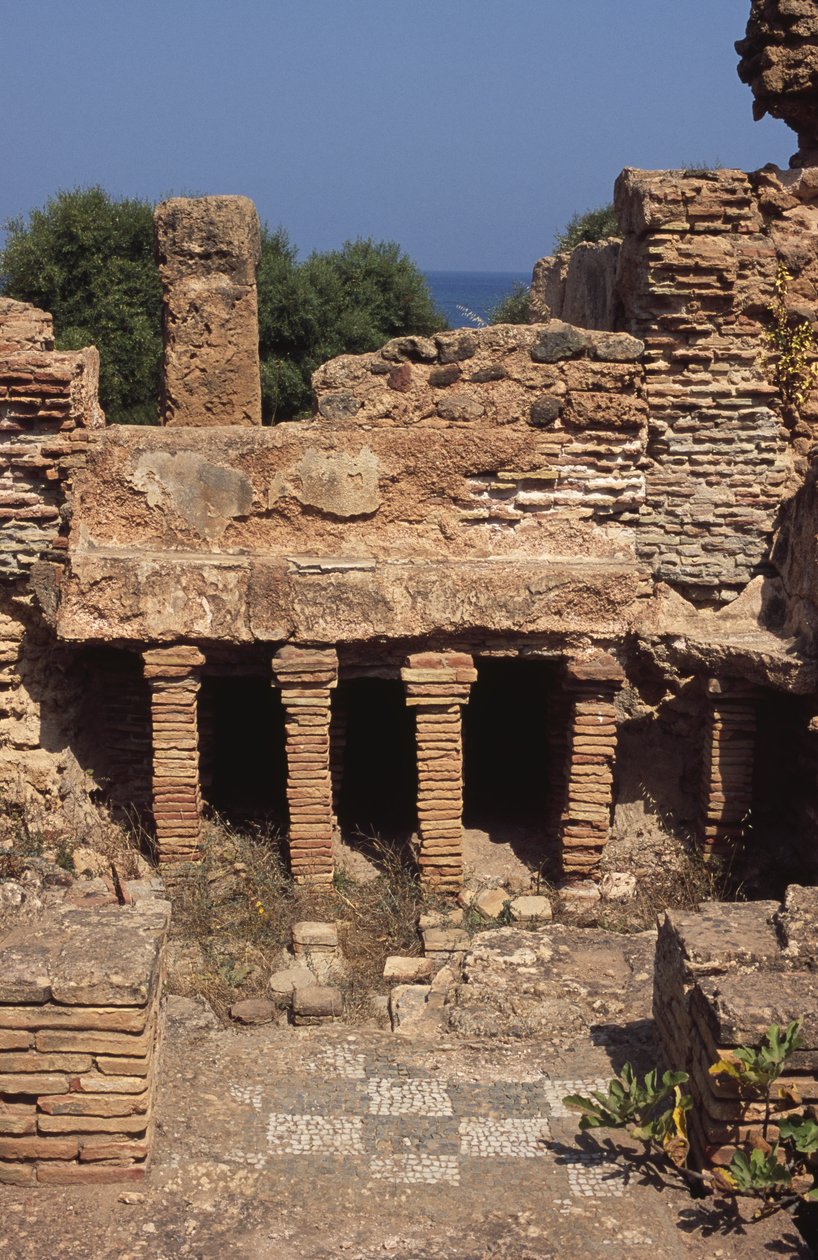 Hypocaust بواسطة رواية