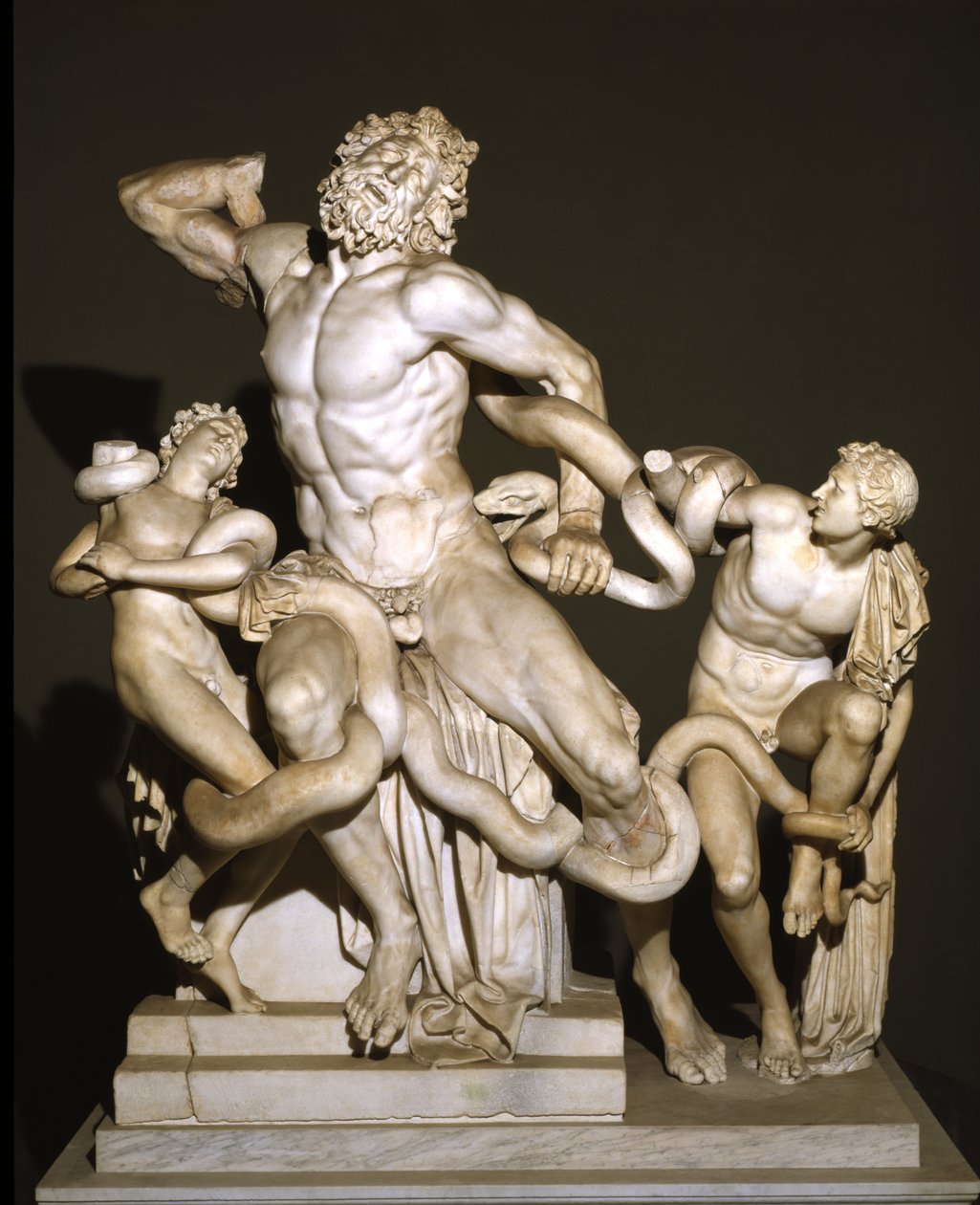Laocoön and His Sons (marble) بواسطة رواية