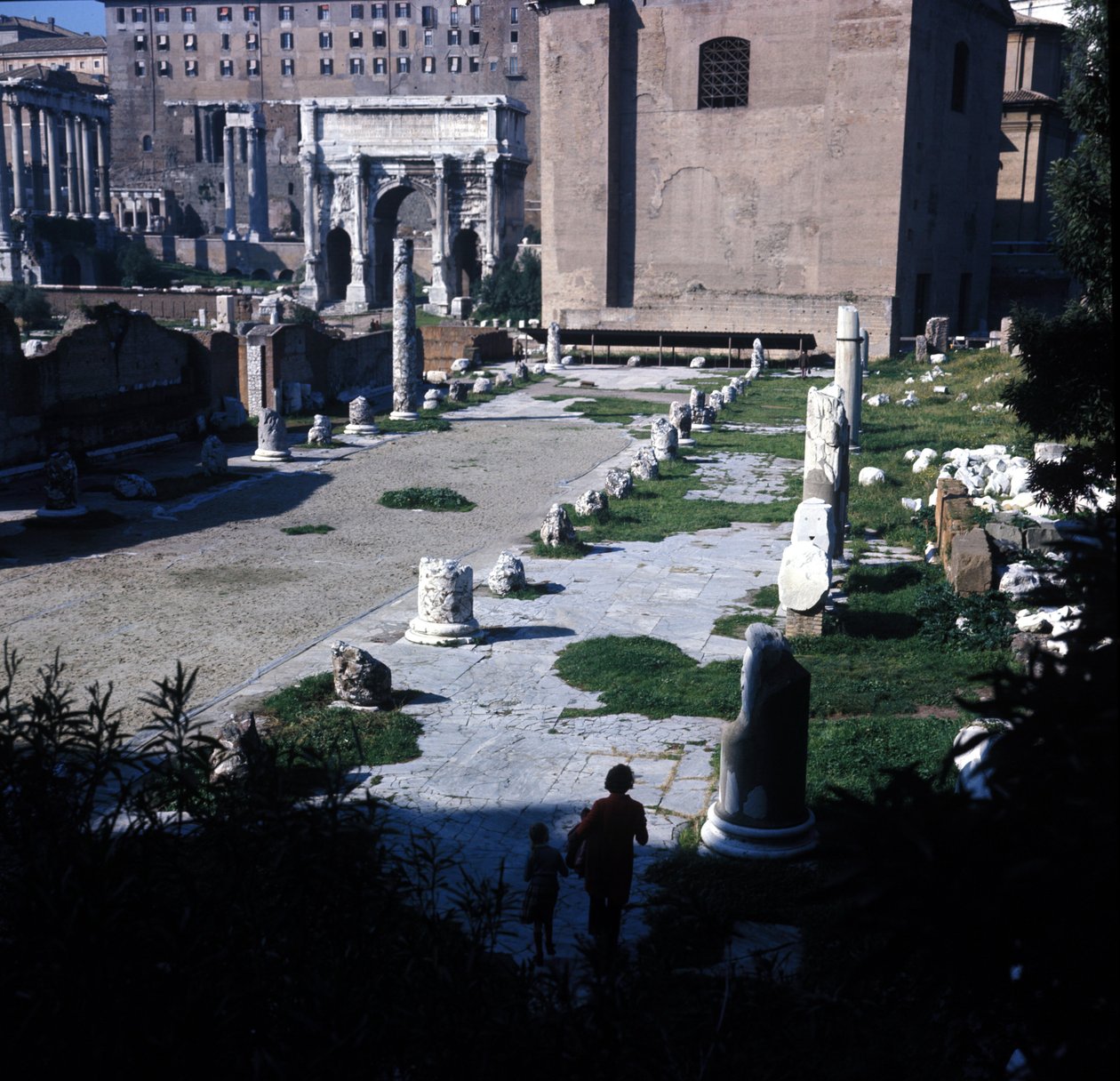 تم بناء موقع Basilica Aemilia في المنتدى الروماني لأول مرة عام 179 قبل الميلاد وتم ترميمه عدة مرات بفضل عائلة إميليا. روما بواسطة رواية