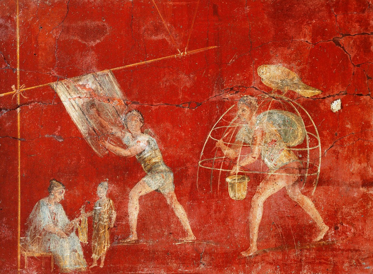Pillar fresco depicting wool manufacturing, from Pompeii, Fullonica of Veranio Ipseo بواسطة رواية