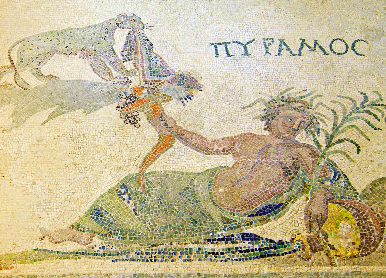 Pyramus and Thisbe ، تفاصيل Pyramus and the leopard، House of Dionysos، Paphos، Cyprus mosaic بواسطة رواية