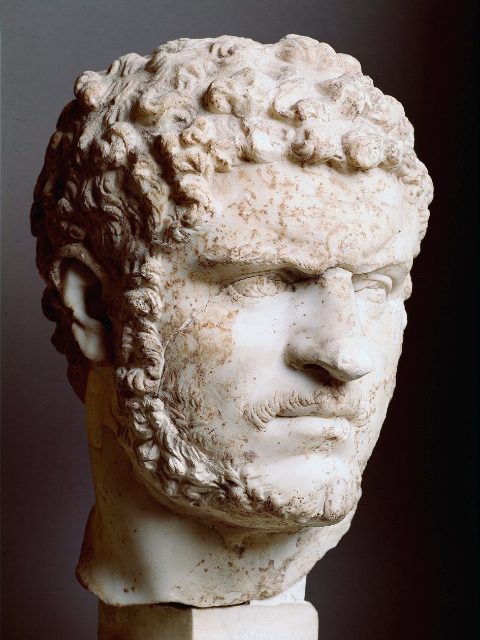 Roman Art: “” Marble Head of Caracalla (188-217), Emperor from 211 to 217 AD, 211-217 AD, Dim. 28 cm - Rome, Palazzo dei Conservatori, Italy - Head of Caracalla (188-217) - Marble sculpture بواسطة رواية