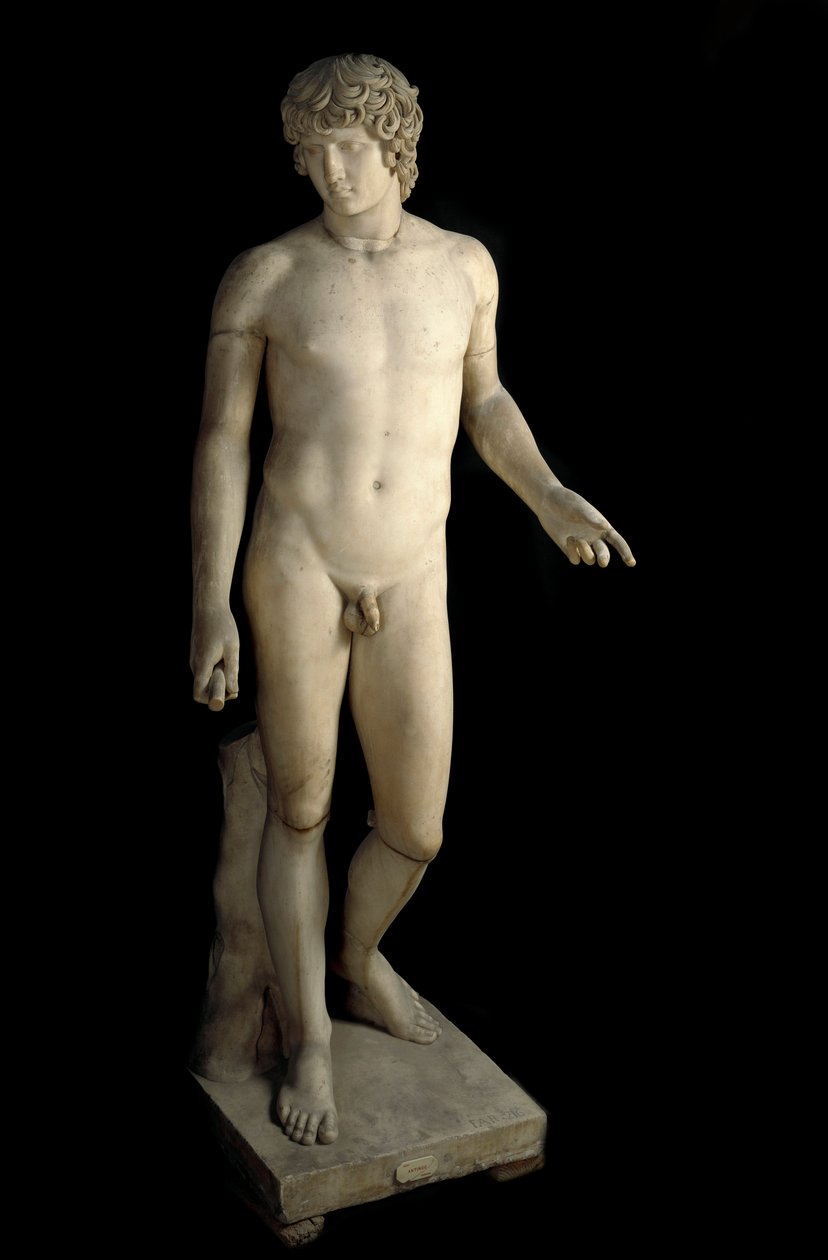 الفن الروماني: تمثيل أنتينوس (Antinoos أو Antinoo) (حوالي 110-130 قبل الميلاد. JC) فارنيزي ، شاب عاشق للإمبراطور الروماني هادريان. نحت الرخام. 130-138 م قاتمة. 203 سم متحف نابولي الأثري. بواسطة رواية