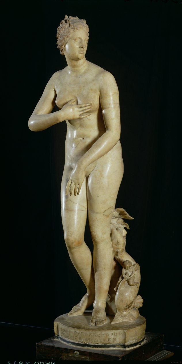 Medici Venus ، نسخة من الأصل الهلنستي بقلم براكسيتيليس (c.370-330 قبل الميلاد) (رخام) بواسطة رواية