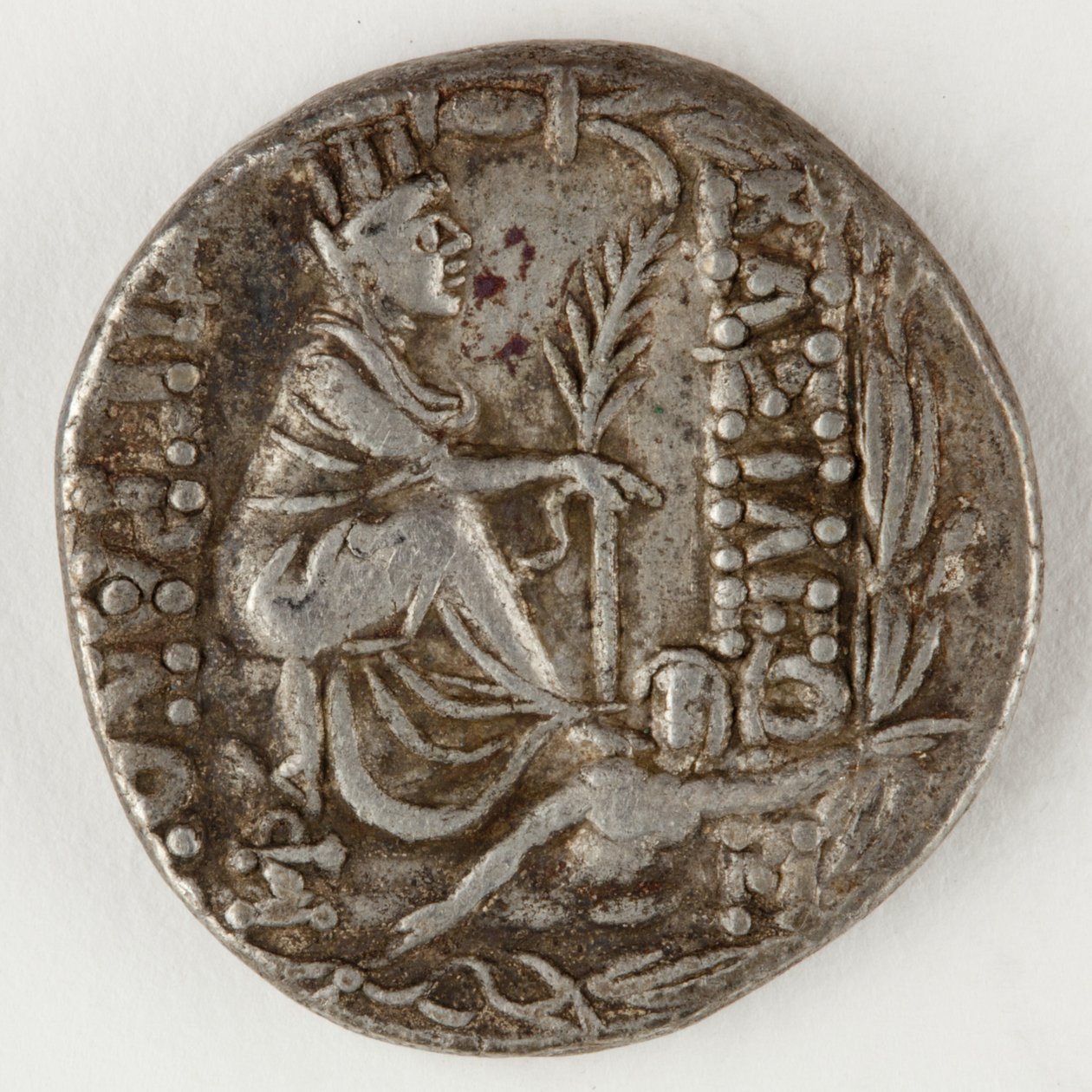 Tigranes II of Armenia ، عكس ، 83-69 قبل الميلاد (فضي) بواسطة رواية