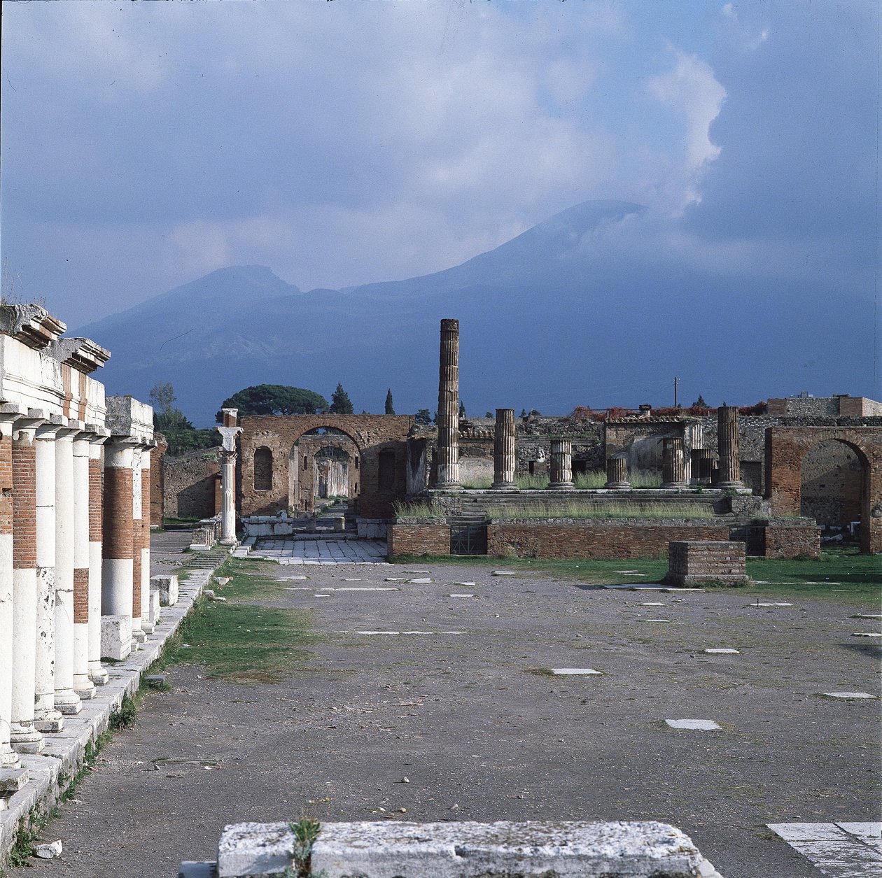 View of the forum بواسطة رواية