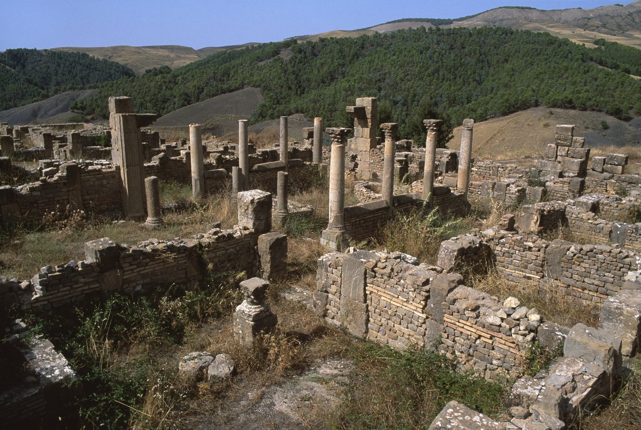 منظر لمنطقة سكنية ، العصر الإمبراطوري العالي (27 ق.م - 395 م) بواسطة الفترة الإمبراطورية الرومانية