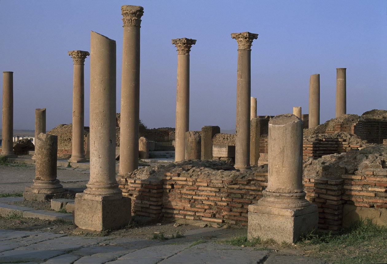 منظر للمكتبة ، حوالي 100 م ، العصر الإمبراطوري العالي (27 ق.م - 395 م) بواسطة الفترة الإمبراطورية الرومانية