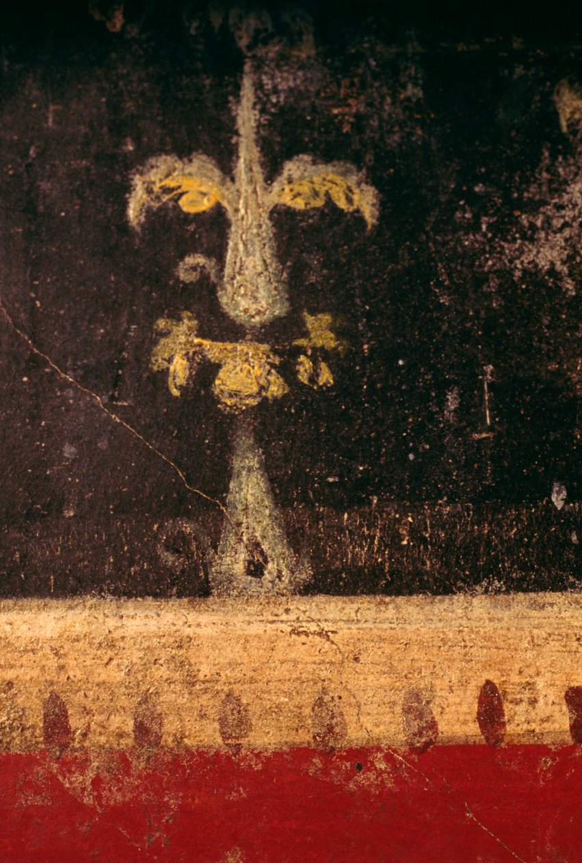 عنصر زخرفي، تفاصيل من لوحة جدارية في تريكلينيوم House of the Vettii، بومبي (قائمة التراث العالمي لليونسكو) بواسطة رومان رومان