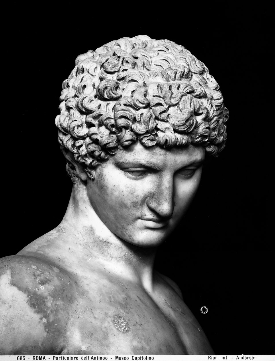 التفاصيل من Antinous (الرخام) بواسطة رومان رومان