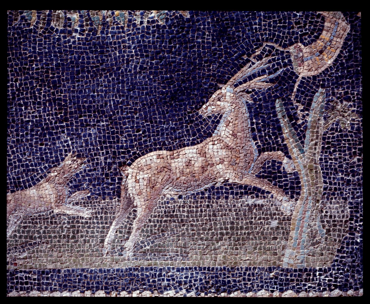 تفاصيل فسيفساء الجدار من nymphaeum of the casa di Nettuno e Anfitrite ، القرن الخامس قبل الميلاد - القرن الأول الميلادي بواسطة رومان رومان