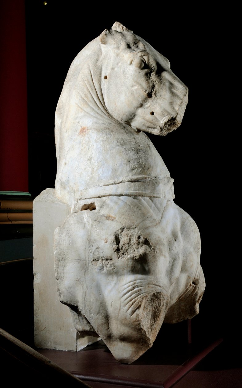 Front part of a horse (marble) (see also 371183 & 371184) بواسطة رومان رومان