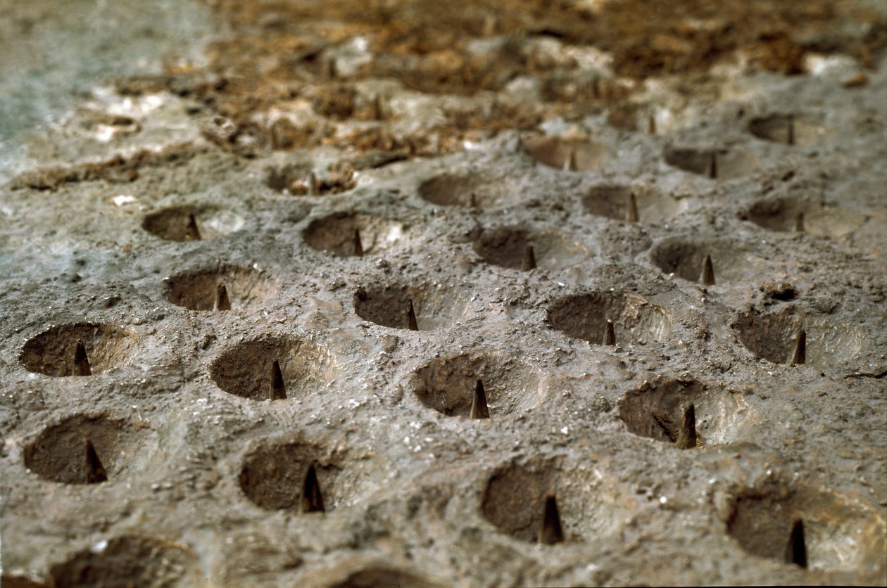 Model reproducing the siege and the battle of Alesia in September 52 BC by Jules Cesar who saw the defeat of Vercingetorix. Detail representing the defense system built by Cesar, the “Wolf Gules”. Rome, Museo della Civilta Romana بواسطة رومان رومان